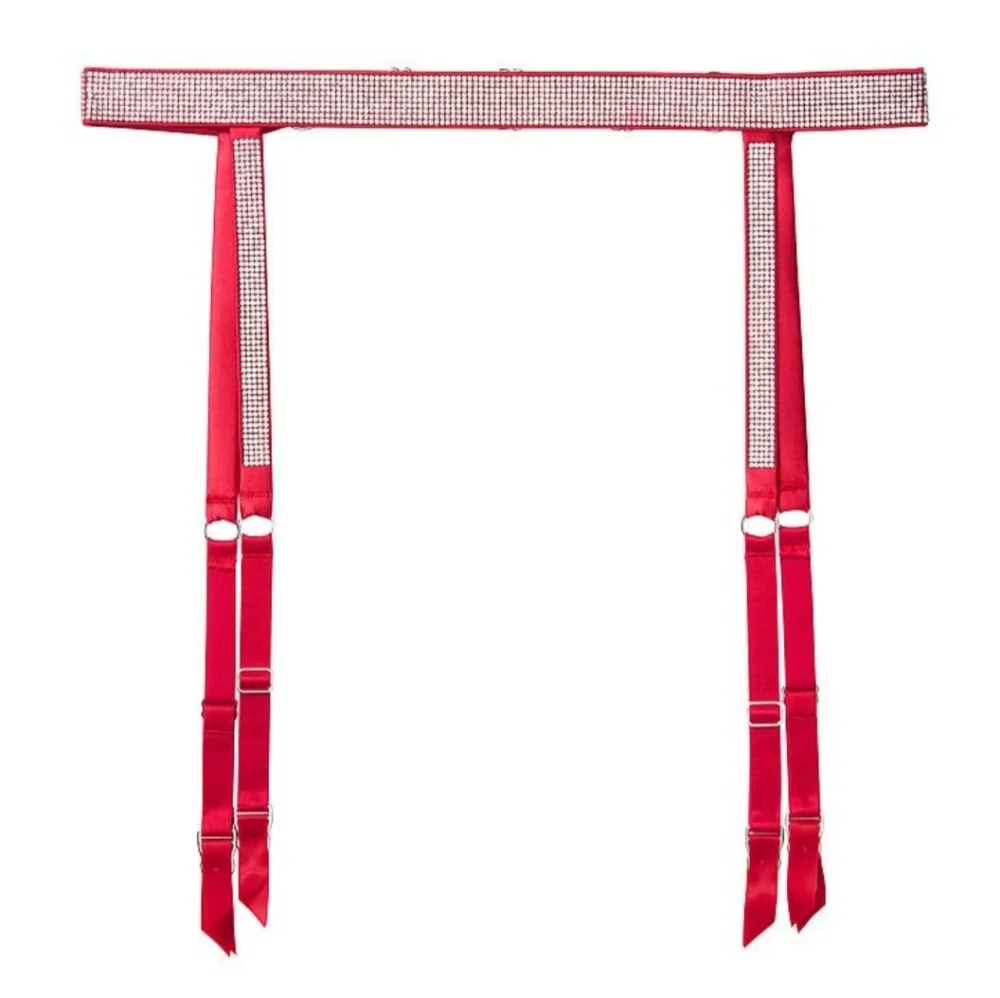 Victoria secret Shine Garter size XS/S NWT - Picture 1 of 8